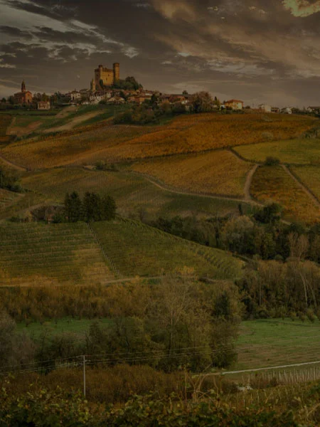 Paesaggi vitivinicoli Langhe