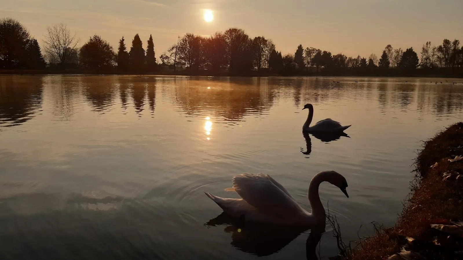 foto di lago la sirenetta